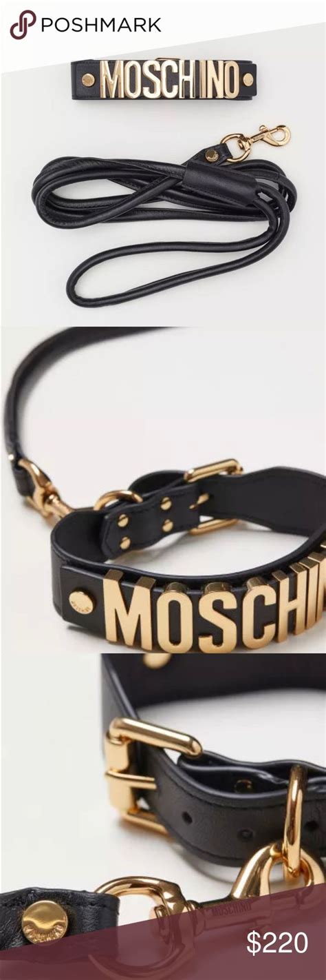 moschino dog collar